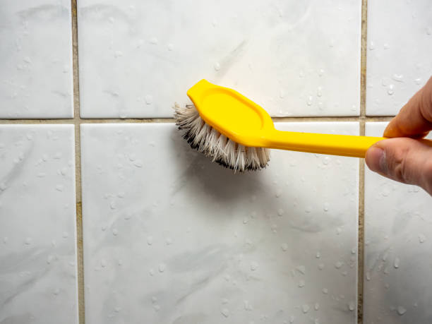 Best Emergency Mold Remediation in Gridley, CA