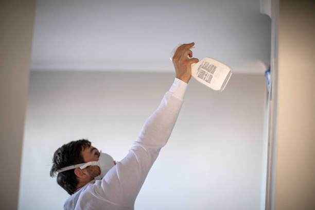 Best Localized Mold Remediation (e.g., coastal areas, humid climates) in Gridley, CA