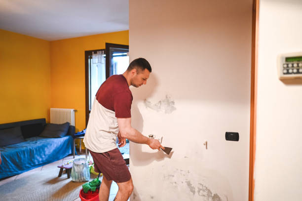 Best Bathroom Mold Remediation in Gridley, CA